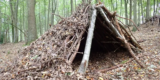 Mastering the Art of Shelter Building